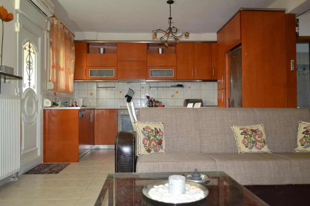 네아 미카니오나 Vasiliki'S Cosy House 아파트 외부 사진